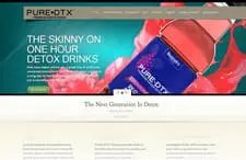 Pure DTX Web Design