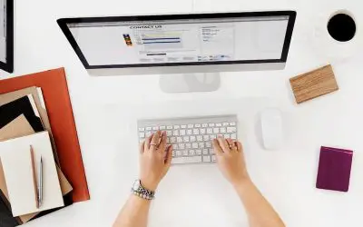 Shopify and WordPress: Can You Migrate Themes Between Platforms?