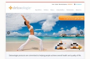 Detoxologie site design & seo