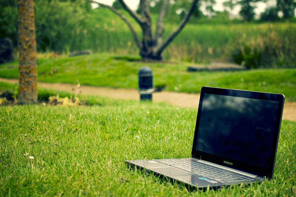 summer themed website summer themed website